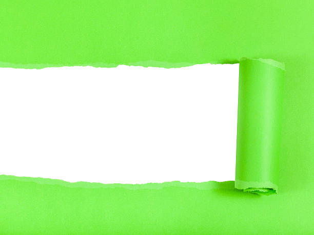 istock green rolled-up ripped paper on white isolated 501203266