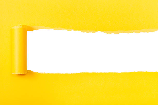 istock yellow rolled-up torn paper on white isolated 501203298