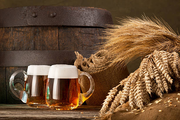 dos vasos de cerveza de trigo y cebada - mug beer barley wheat fotografías e imágenes de stock