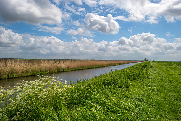 istock Canal with wild flowers in spring 501205605
