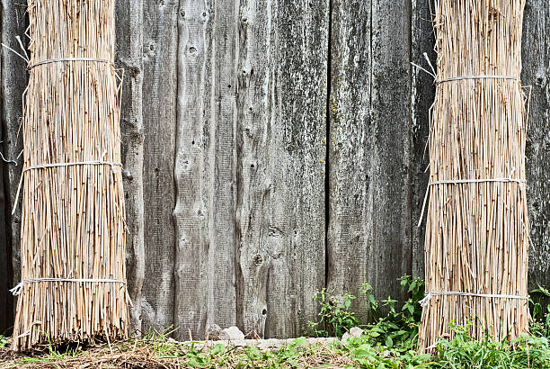 istock Sheaf of straw 501205715