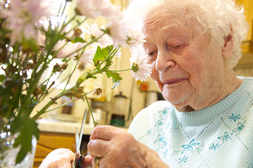 An Elderly woman arranges  a vase of flowers - in a care home or care in the community.
