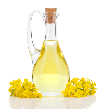 Rapeseed oil in decanter and oilseed rape flowers isolated on white background. Canola oil.