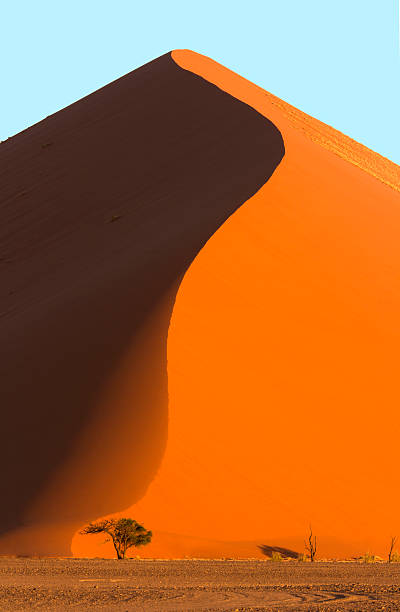 Giant sand dune Mountainous sand dune in the Namibian desert at sunset – Sossusvlei, Namibia beauty in nature vertical africa southern africa stock pictures, royalty-free photos & images