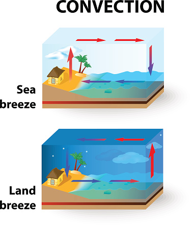 Convection is the transfer of thermal energy by particles moving through a fluid. Thermal energy is always transferred from an area with a higher temperature to an area with a lower temperature. In the day air above the land is warmer than the air above the ocean. The warm air above the land rises up to form clouds. sea breeze - cool air then rush towards the land. In the night, the temperature of the ocean is warmer than the land. The warm air then rises to form clouds. The cool air above the land rushes towards to ocean the fill the space there.