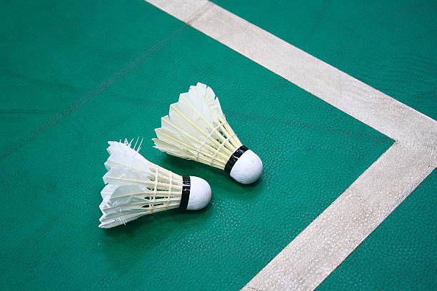 istock Badminton in the stadium 501212017