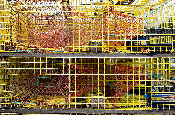 istock Stack of yellow lobster traps in Maine waterfront 501221208