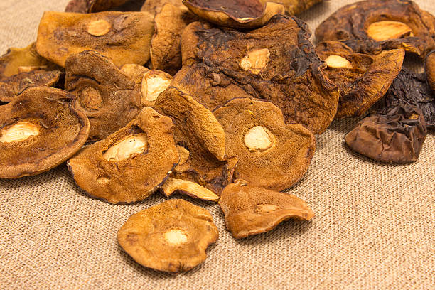 istock Dried mushrooms on canvas 501221216