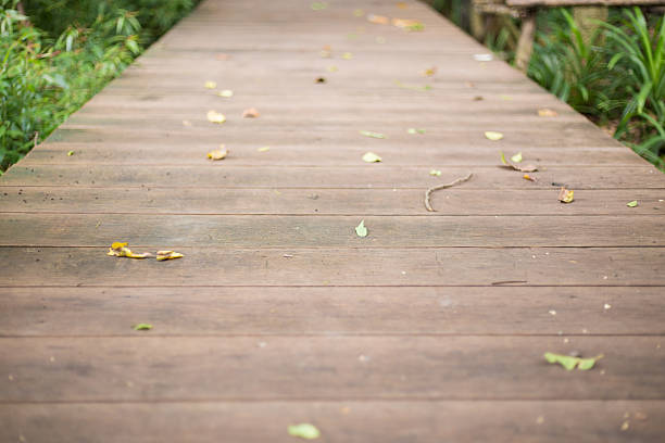 istock Wood Footbridge in Forest 501222426