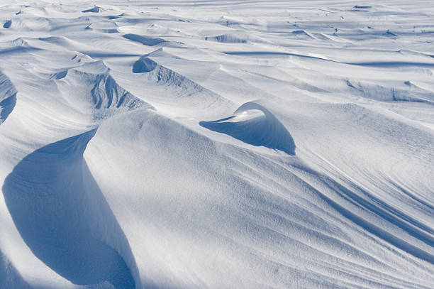 Light and shadows of fresh fallen snow
