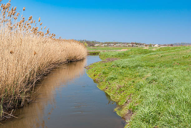 krajobraz z rzeki ukrainy sura w wczesnej wiosny sezonu - lag zdjęcia i obrazy z banku zdjęć