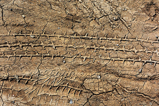 istock abstract wheel trail, dry soil, sweet dreamy 501224482