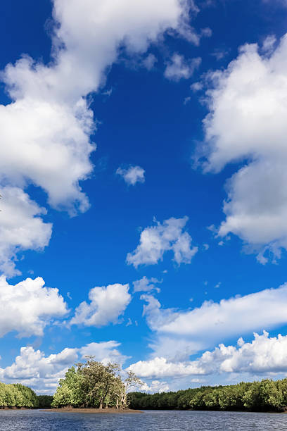 blue sky with cloud nice blue sky with cloudy. Image has grain or noise and soft focus when view at full resolution(Shallow DOF, slight motion blur). stratosphere meteorology climate air stock pictures, royalty-free photos & images