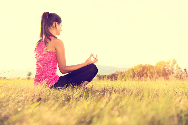 istock Young athletic woman practicing yoga on a meadow at sunset 501226736
