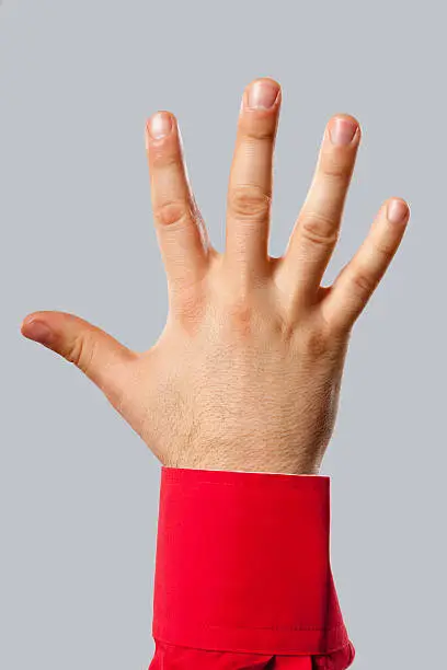Back of open male hand, five fingers