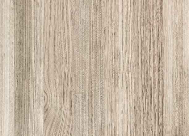 istock texture of Walnut wood 501227642