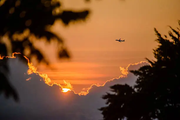 Photo of Airplane and Sunset