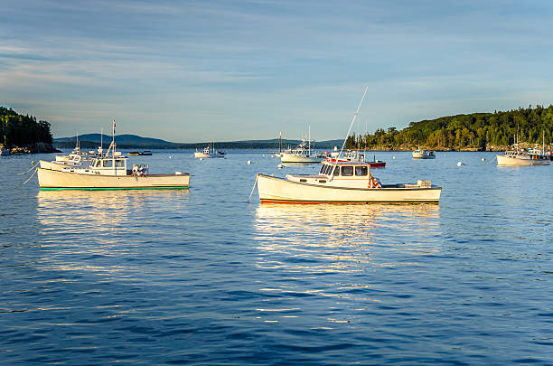istock Fishing Boats in Harbour in Autumn 501232568