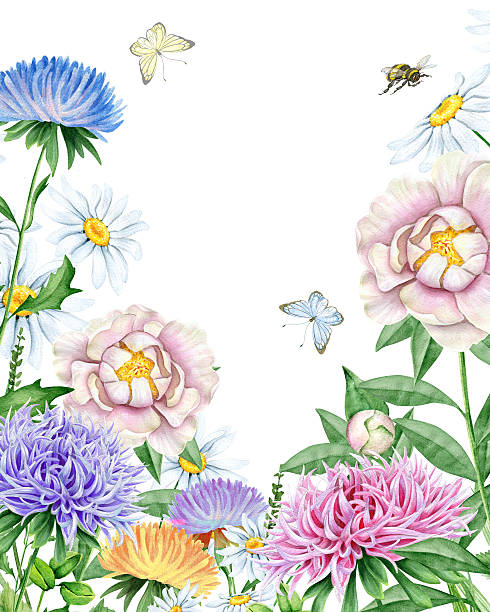 ilustraciones, imágenes clip art, dibujos animados e iconos de stock de watercolor al jardín - chamomile entertainment nature leaf