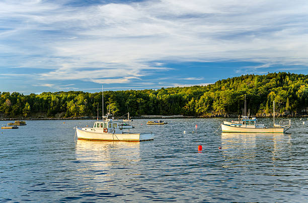 istock Fishing Boats and Cloudy Sky 501233000