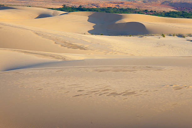 istock Sand dune in Muine, Vietnam 501234828