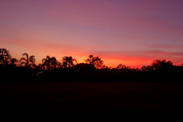 istock Bright orange and yellow colors sunset sky 501237059
