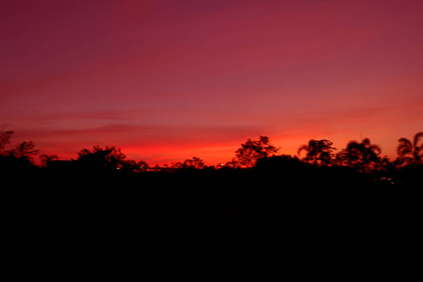 istock Bright orange and yellow colors sunset sky 501237077