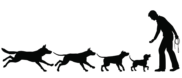 Editable vector silhouettes illustrating the domestication of dog from wolf