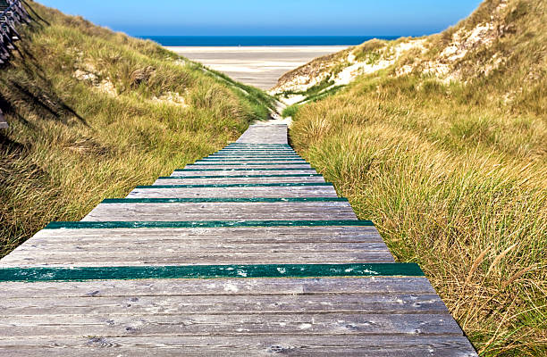 Wooden bridge leads through dune and reed