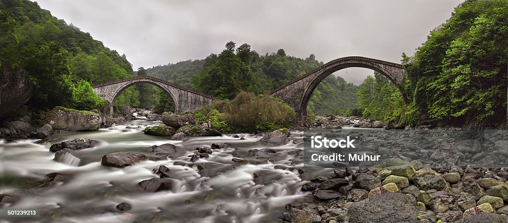 Ancient Stone Bridge The arched stone bridge near Şimşirli Village in Çamlıhemşin, Rize, connects the banks of the Fırtına (Storm) Stream. Adult Stock Photo