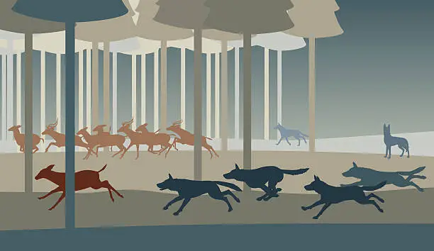 Vector illustration of Wolf hunt