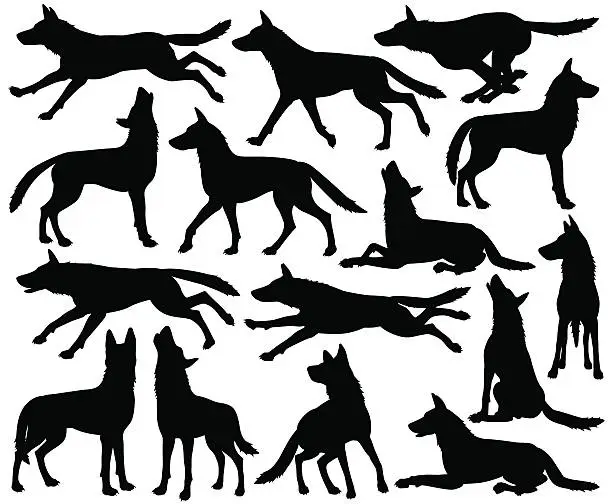 Vector illustration of Wolf silhouettes