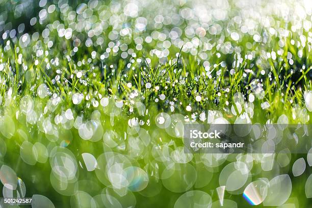 Green Grass Stock Photo - Download Image Now - Abstract, Circle, Closed