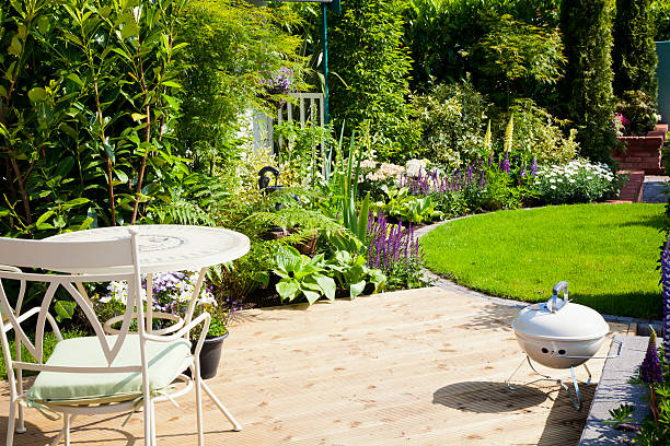 Lanscaped Garden Landscaped garden lupine flower photos stock pictures, royalty-free photos & images