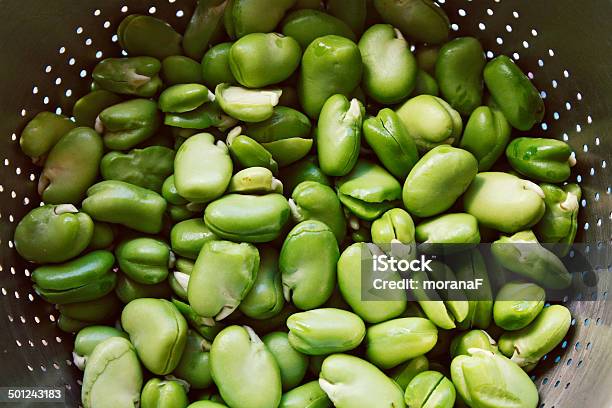 Broad Beans Stock Photo - Download Image Now - Abundance, Bean, Broad Bean