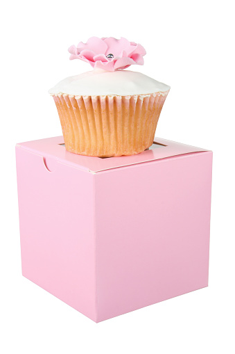 Cupcake on Box with White Background