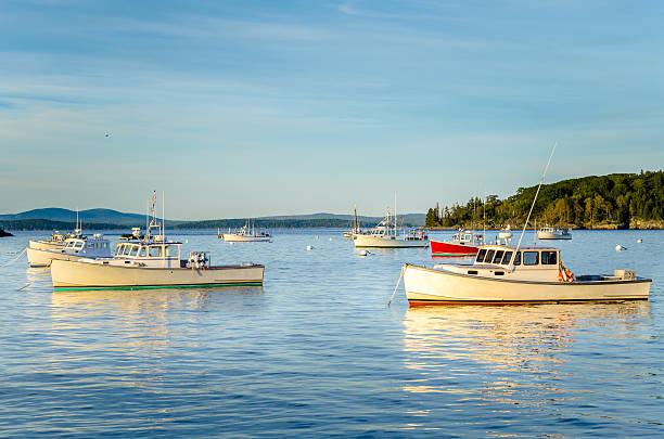 ancre de bateaux de pêche dans les eaux calmes au coucher du soleil - maine photos et images de collection