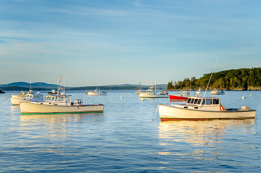 Photo of a harbour at sunset with anchored fishing boats. Calm water and cloudy sky. Bar Harbor, Maine, Usa
