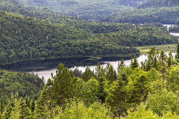 istock La Mauricie National Park 501250184