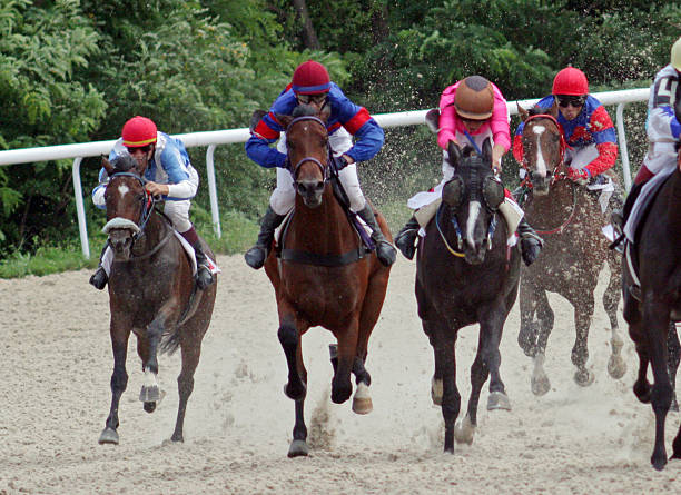 course de chevaux à pyatigorsk. - flat racing photos et images de collection