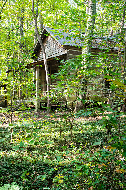 istock Woodland Cabin through the trees 501254142
