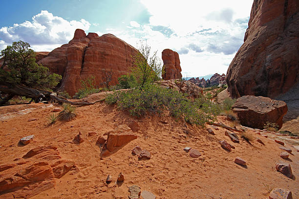 istock Devil's Garden Trail in desert of Arches National Park 501255286