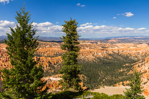 The orange Bryce Canyon landscape  in Utah, USA