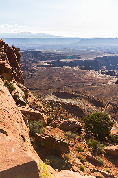 istock Grand View Overlook at Canyonlands 501257636