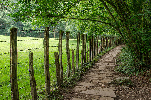 Countryside and green in Navarre Entrance road to the caves of Zugarramurdi (Navarra, Spain) alambrada stock pictures, royalty-free photos & images
