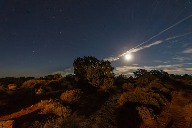 istock In the desert at night in USA 501257924