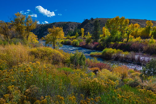 East river in autumn Colorado