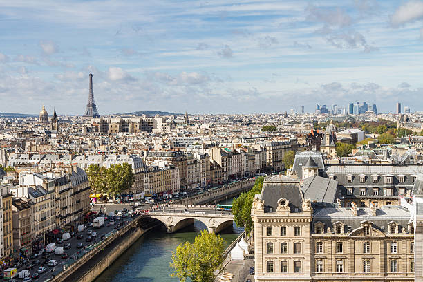 istock Paris seen from the top of Notre Dame 501259047