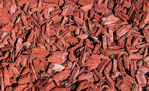 Rouge texture du bois brut déchiré - Photo
