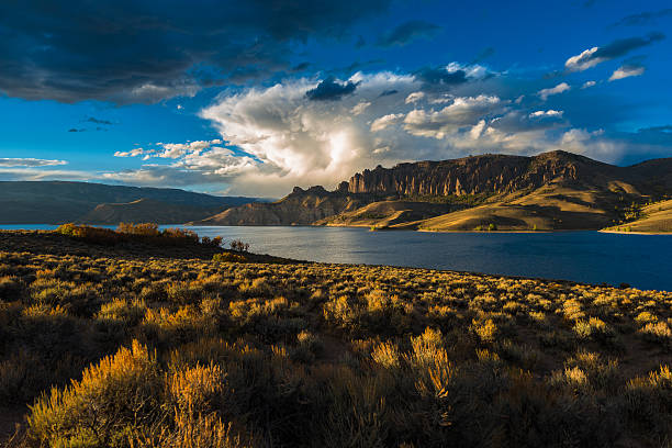 istock Wayne N. Aspinall Storage Unit Colorado Curecanti National Recre 501259876